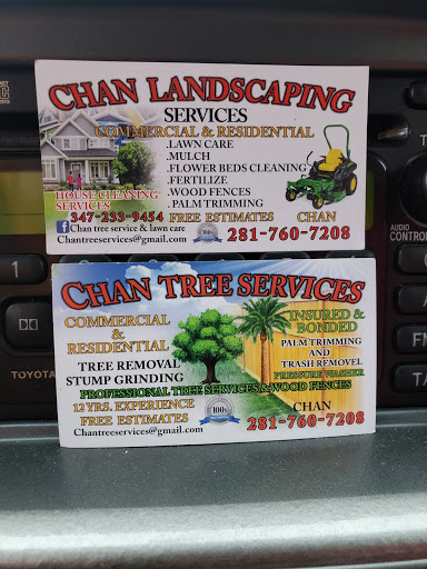 Chan tree services - Visual