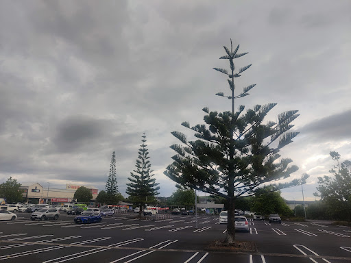 Botany Town Centre Car Park