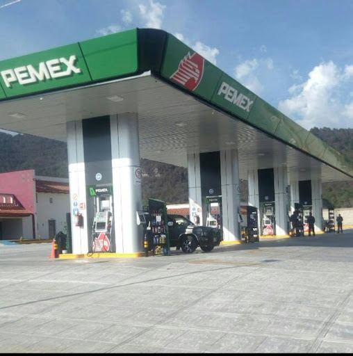 Gasell Teopisca