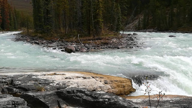 Sunwapta Falls Rocky Mountain Lodge by null
