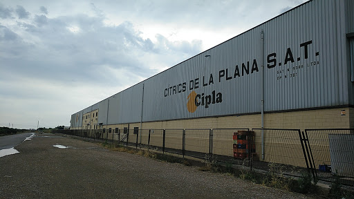 CIPLA S.A.T - Visual