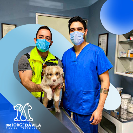 Clínica Veterinaria Dr. Jorge Dávila