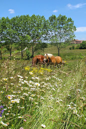 Photo n°5 de Le Corral :gîte, chambre d'hôtes à Cheminas (Gîte)