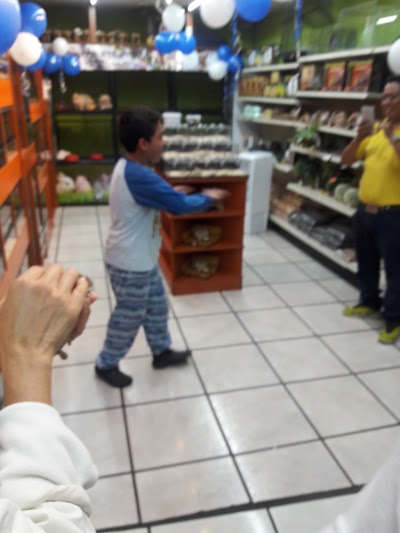 Photos of Exoticos Pet Shop