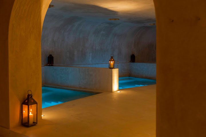 Habitat Cigueña Negra by null