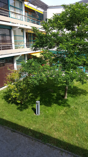 Photo de EHPAD Picasso (Groupe VYV) à Saint-Aubin-de-Luigné (49190)