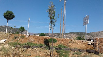 Photos of Goodyear-parlas Ticaret