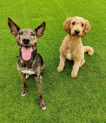 Crossroads Grooming & Boarding, Inc.