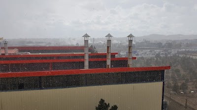 Photos of شرکت کروز سایت۳