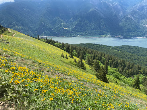 Dog Mountain Trail - Thumbnail