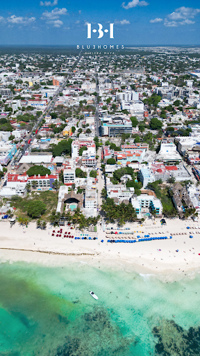 BlueHomes - Casas y Departamentos en venta y renta