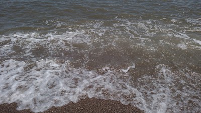 Photos of Cal Griffin-Edisto Real Estate
