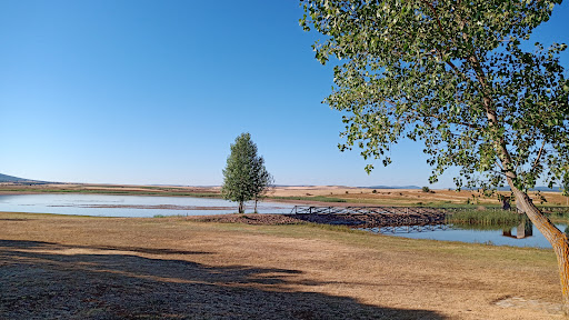 Laguna de los Majanos - Thumbnail