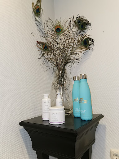 Salon New Style - Thumbnail