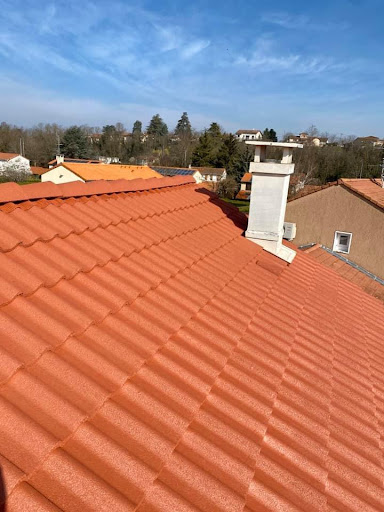 Photo de D.B Toiture Mr Buch - Nettoyage de Toitures &amp; Façades - Poitiers à Ligugé (86240)