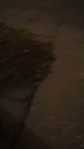 Opinii despre Tt-Damp v/Thomas Rørmose în Nyborg - Butik