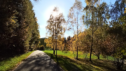 Mühlteich - Thumbnail