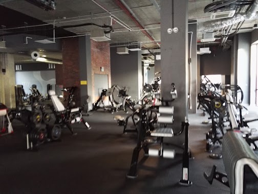 My Fitness Place, Author: Kamil S