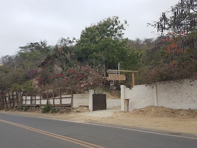 Photos of La Nereida