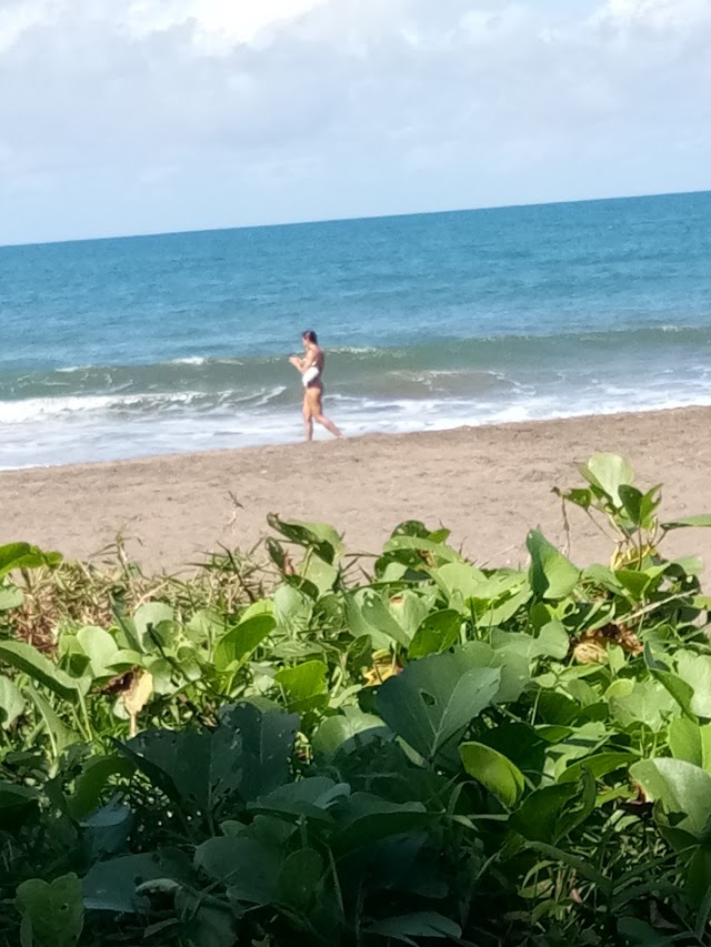Pantai Berawa