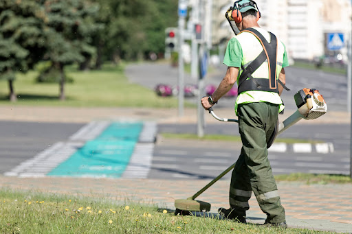 Grönskan - Visual