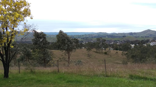 Lucky Mine Lookout Logo