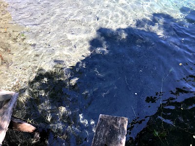 Photos of Camping Los Canelos Pucon, Sector Carhuello