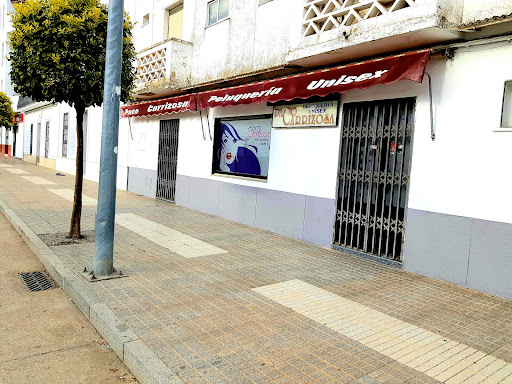 Paco Carrizosa-Peluqueria Unisex - Thumbnail