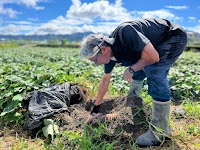 ファームスギモト