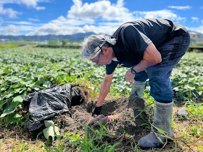 ファームスギモト