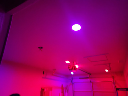 Proper electric - Visual