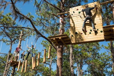 Photos of TreeUmph! Adventure Course