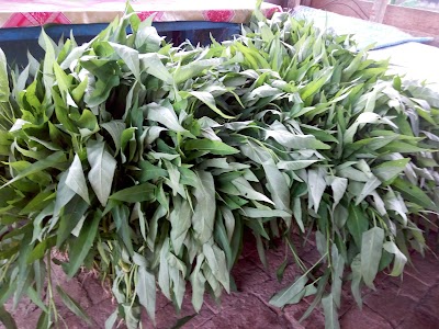 Photos of Raja Basa Kedaloman