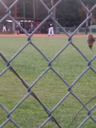Jemison Little League Fields - Thumbnail