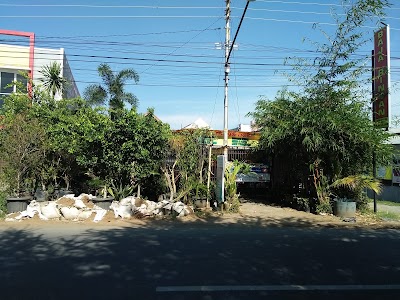 Photos of Daun Exotica Nursery