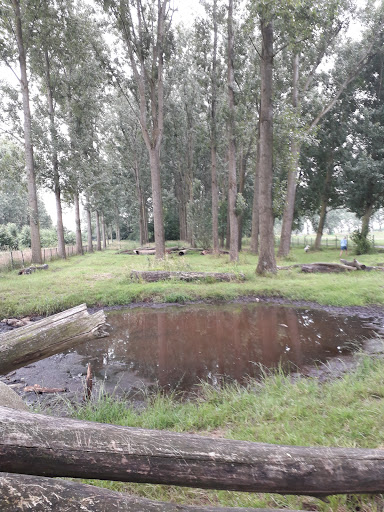 Hondenspeelterrein Hitland-Noord