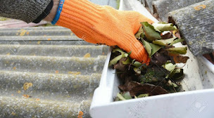 Photo n°8 de Société EC vert à Petit-Caux (Paysagiste)