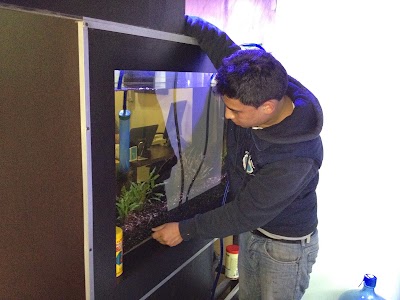 Photos of MIS PECES DISCO