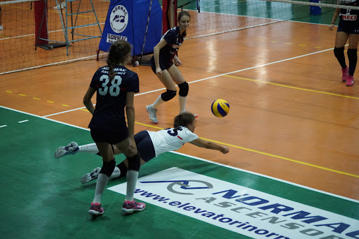 PALLAVOLO - Visual