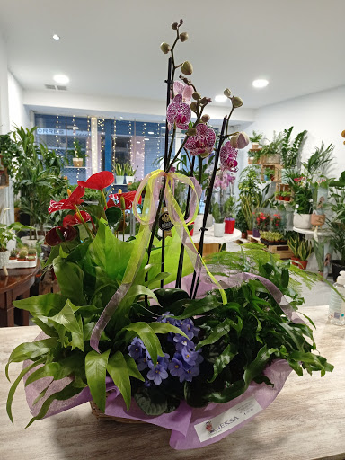 LEKSA Floristeria Gallery - Spain