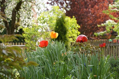 Photos of Ferienhof Frank