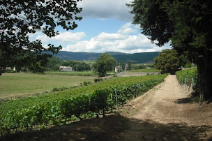 Photo n°10 de Chateau des Poupets à Juliénas (Cave à vins)