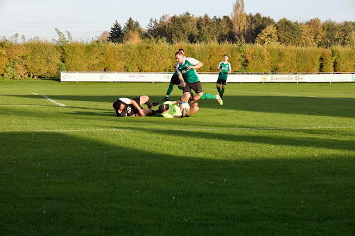 SC Bubesheim - Visual