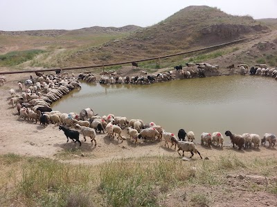 Photos of قرية العبادة