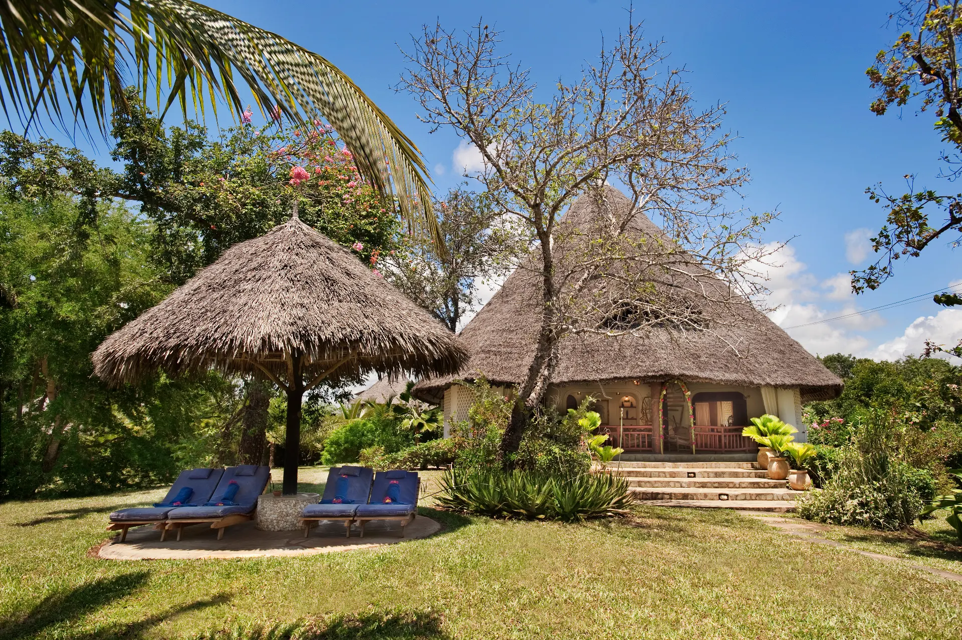 Diani Marine_5*PADI Scuba diving school & ACCOMMODATION