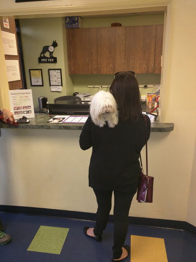 Pet Vet Animal Hospital - Thumbnail