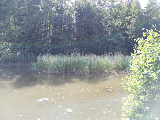 Isselteiche - Visual