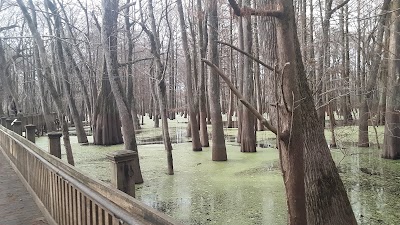 Sky Lake Boardwalk