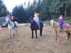 Photo n°1 de Au Champ D'epona à Saint-Pal-de-Mons (Centre équestre)