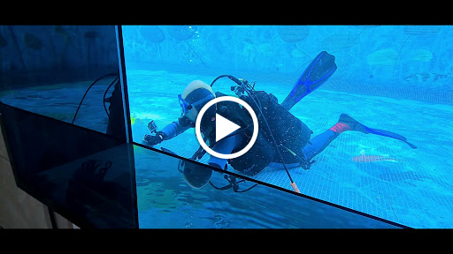 Photo de ARRODEL à Gattières (06510)